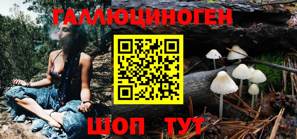 Черногорск  Галлюциногенные грибы прущие грибы  Галлюциногенные грибы Psilocybe  Вход с VPN 